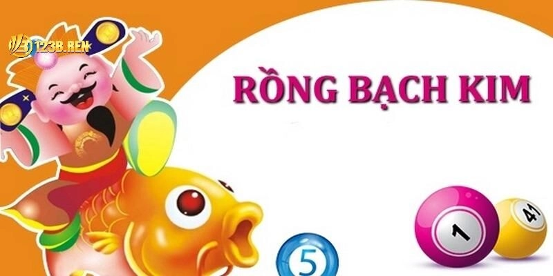 Cao thủ chia sẻ kinh nghiệm soi cầu Rồng bạch kim